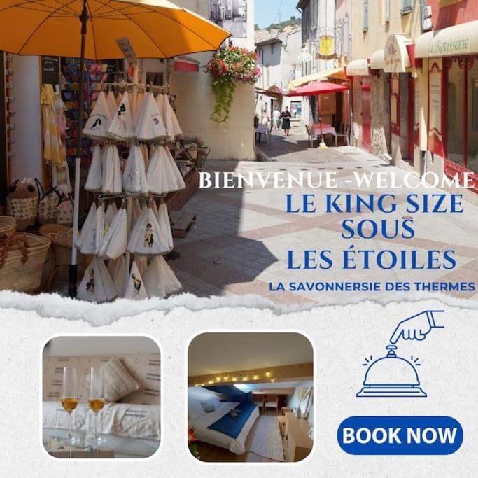 Le King & Suites Etoilees Gréoux-les-Bains Εξωτερικό φωτογραφία