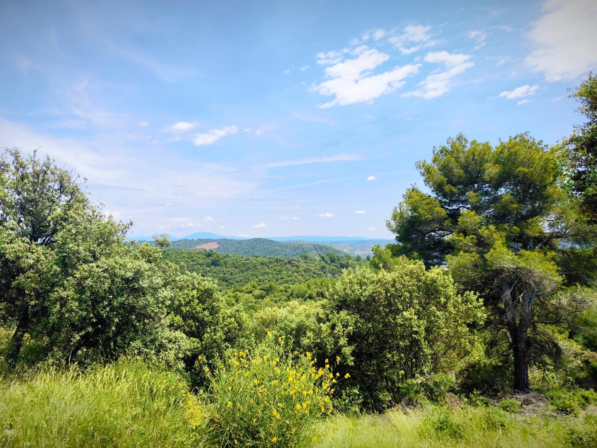 Le King & Suites Etoilees Gréoux-les-Bains Εξωτερικό φωτογραφία